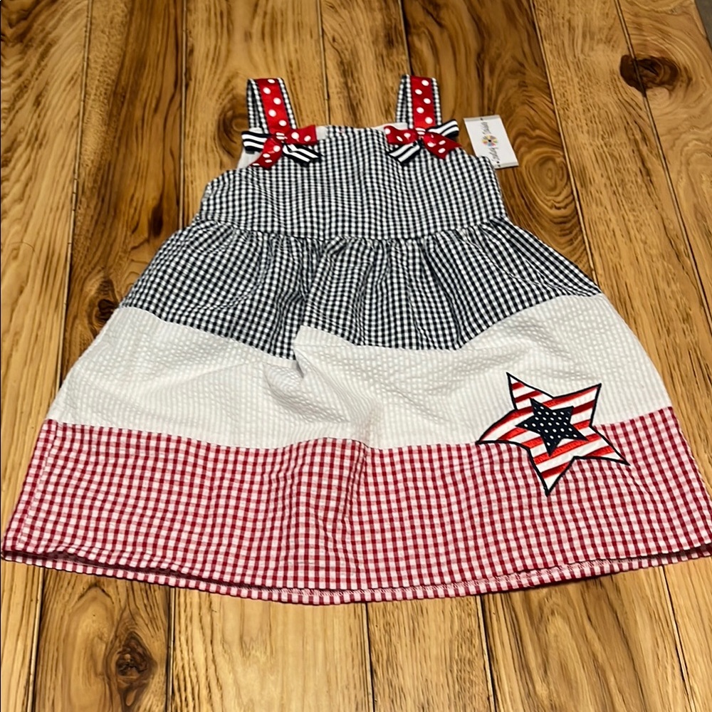 Counting Daisies Patriotic Gingham Dress with Star NWT